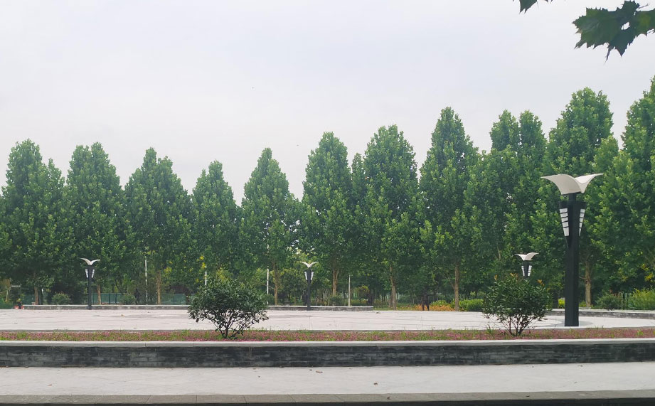 景觀燈，公園景觀燈.jpg